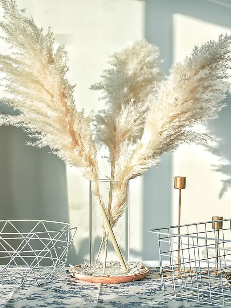 A bouquet of dried beige pampas grass arranged in a clear glass vase on a patterned tablecloth.