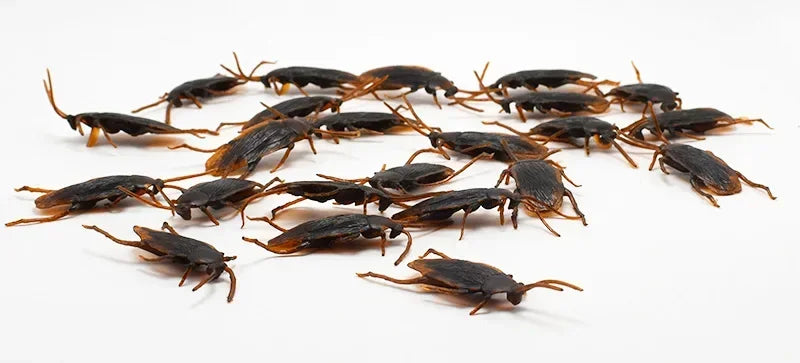 A collection of realistic plastic bugs including cockroaches, centipedes, and scorpions scattered on a white surface.