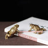 A brass money frog feng shui figurine resting on a white book.