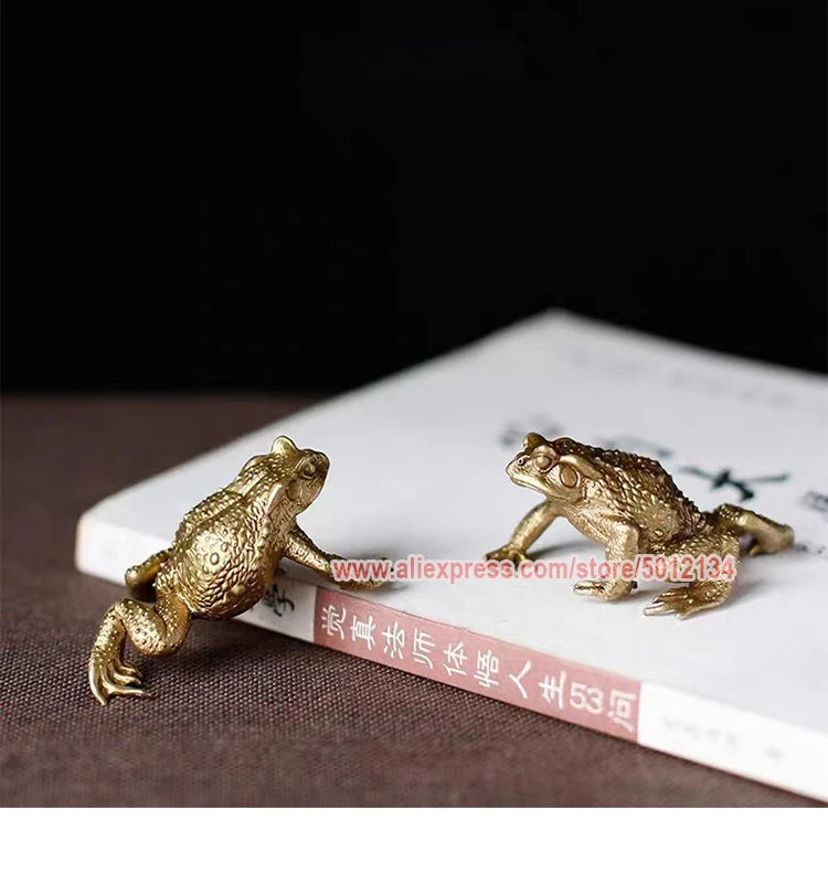 A brass money frog feng shui figurine resting on a white book.