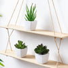 Set of 3 Artificial Evergreen Bonsai Plants
