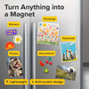 Flexible Adhesive Magnet Sheets (3.5" x 2")
