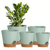 A set of five light green self-watering plant pots with drainage holes shown on a white background.