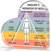 A heart-shaped acrylic sign illustrating Maslow's Hierarchy of Needs with five levels of human needs.