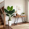 An artificial Bird of Paradise plant in a white planter sits on a wooden table next to a staircase.