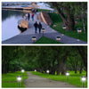 A long pathway lined with solar lights leads through a wooded park area.