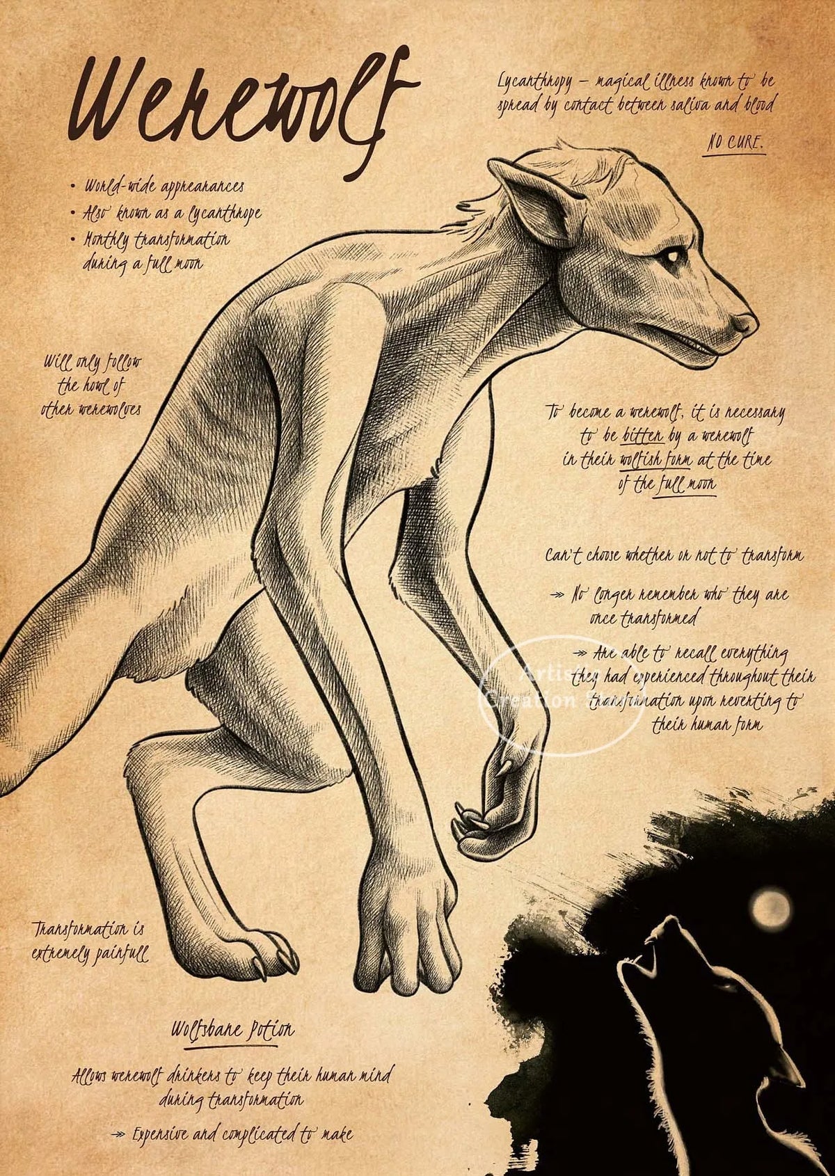 A vintage illustration titled Wekewolf showing a wolf-like creature with text describing transformation.
