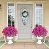 A front door decorated with a wreath and flanked by large potted pink flowers on a wooden floor.