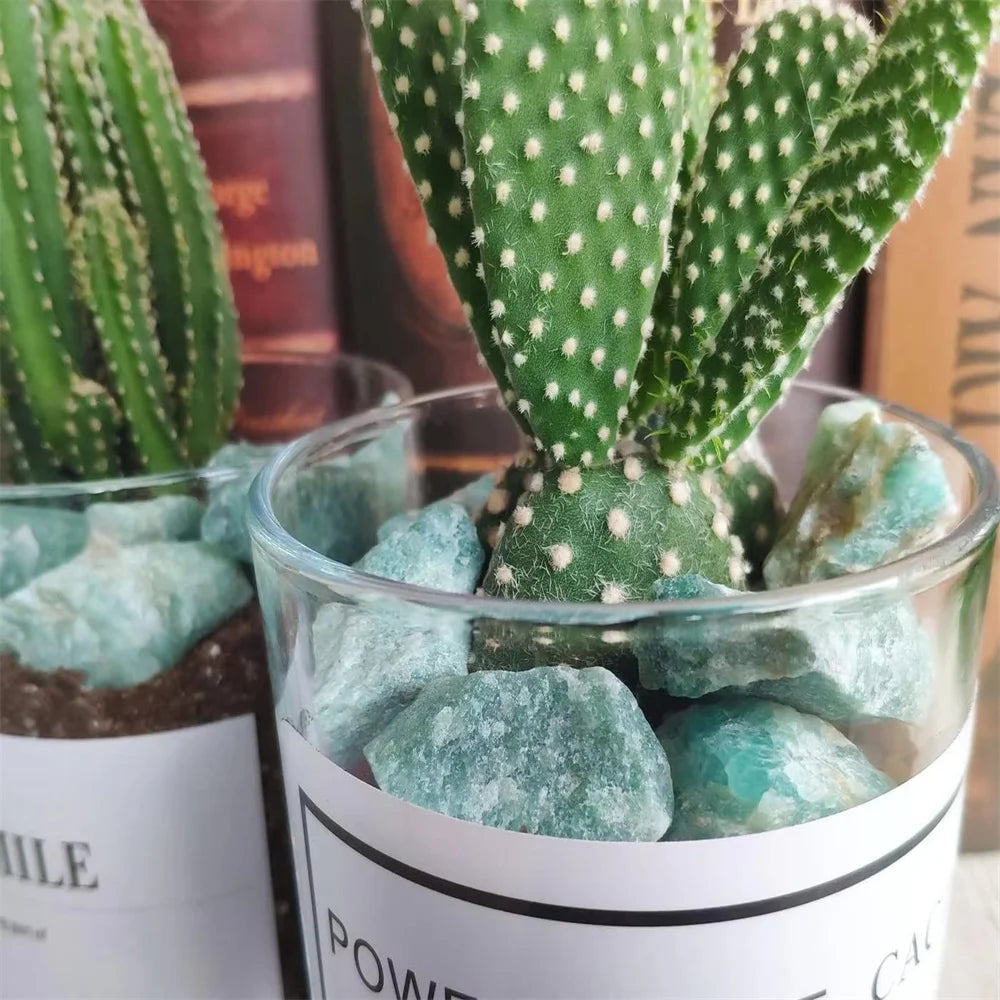 A close-up of a potted cactus plant with green dots and raw light blue green aventurine crystals in a glass container.