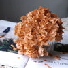 A bouquet of dried orange-brown hydrangea florets displayed on a white surface.