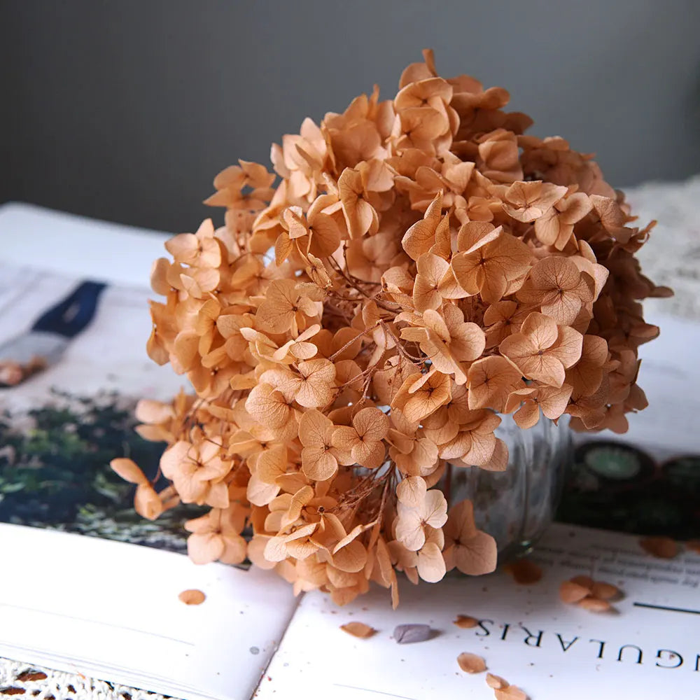 A bouquet of dried orange-brown hydrangea florets displayed on a white surface.