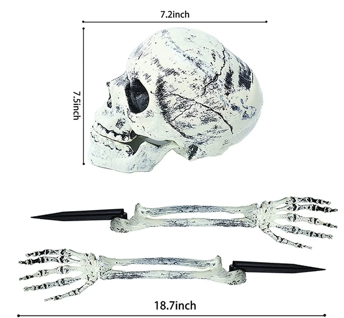 A realistic white skeleton hand lawn stake and a separate skeletal skull decoration.