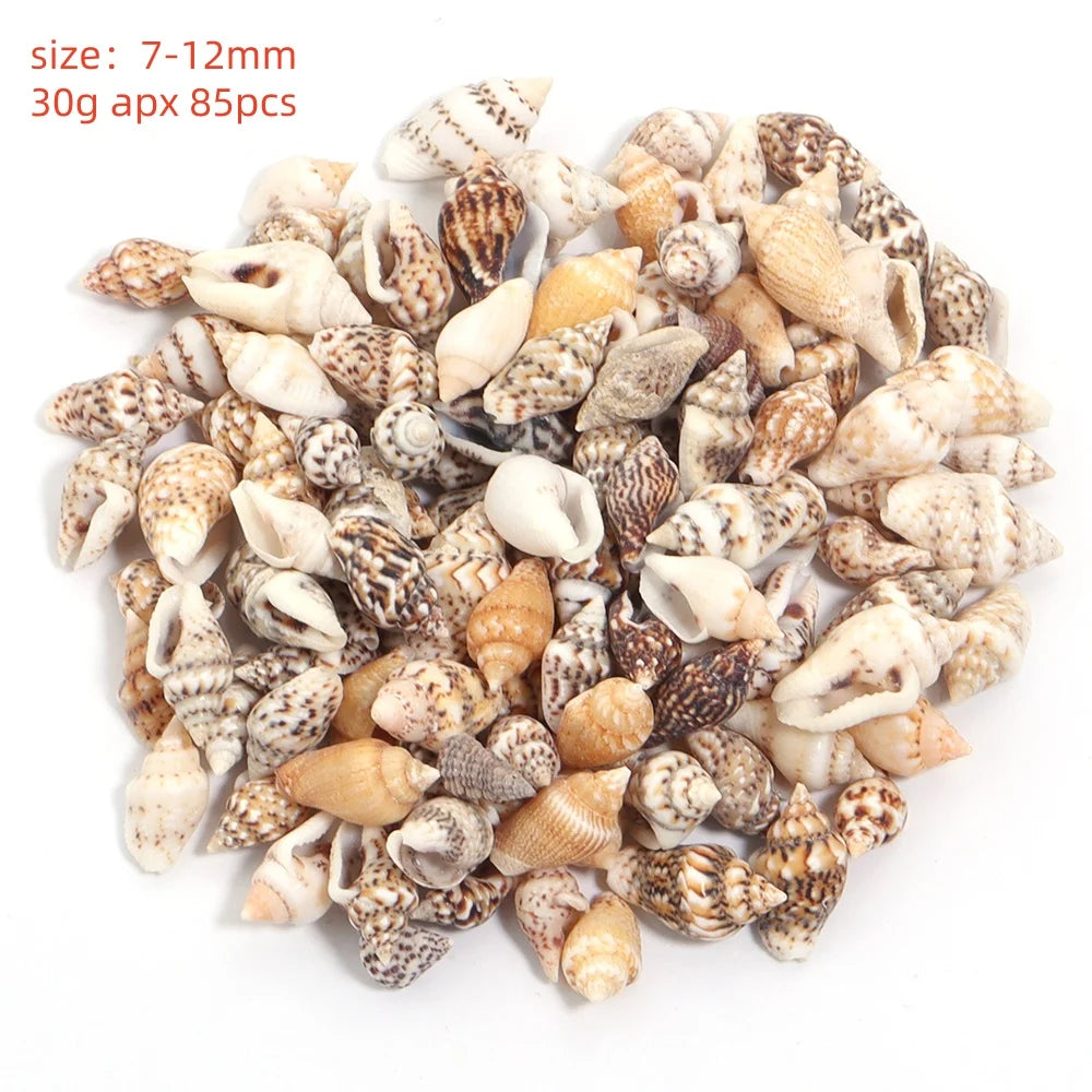 Natural Sea Snail Shell Beads for DIY Jewelry Making