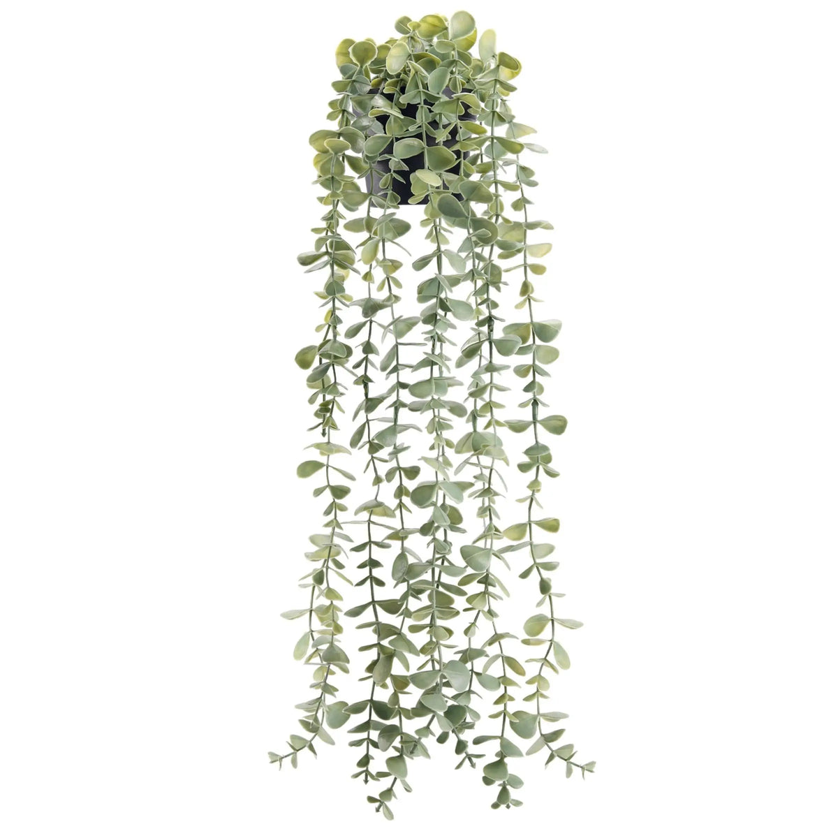 Plante d'eucalyptus artificielle verte en cascade, suspendue dans un pot pour décoration intérieure.