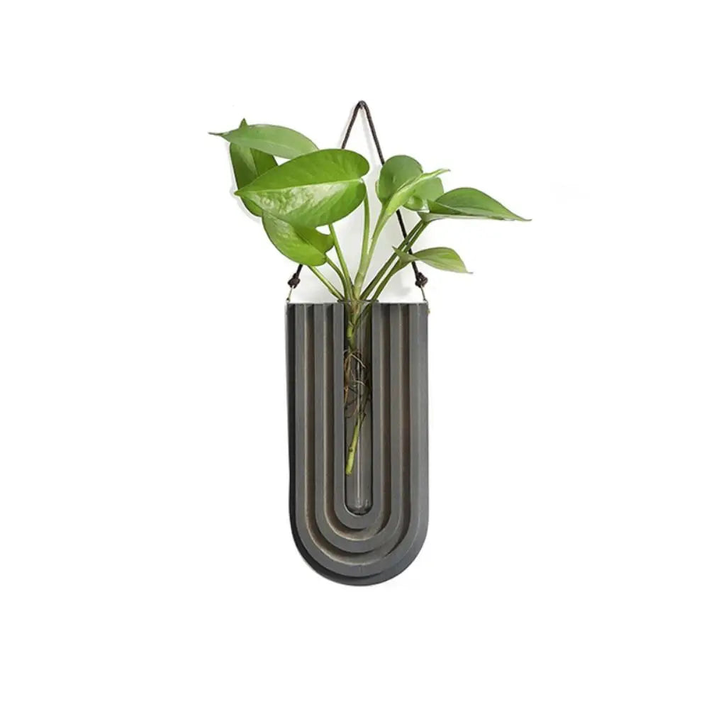 A handcrafted wooden wall-mounted hydroponic plant vase holding green foliage.