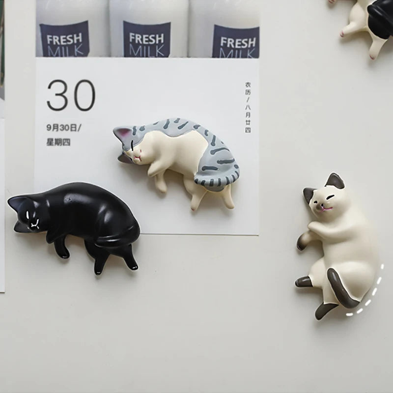 A set of six fridge magnets featuring various cat designs, including a white tabby cat and a black cat.