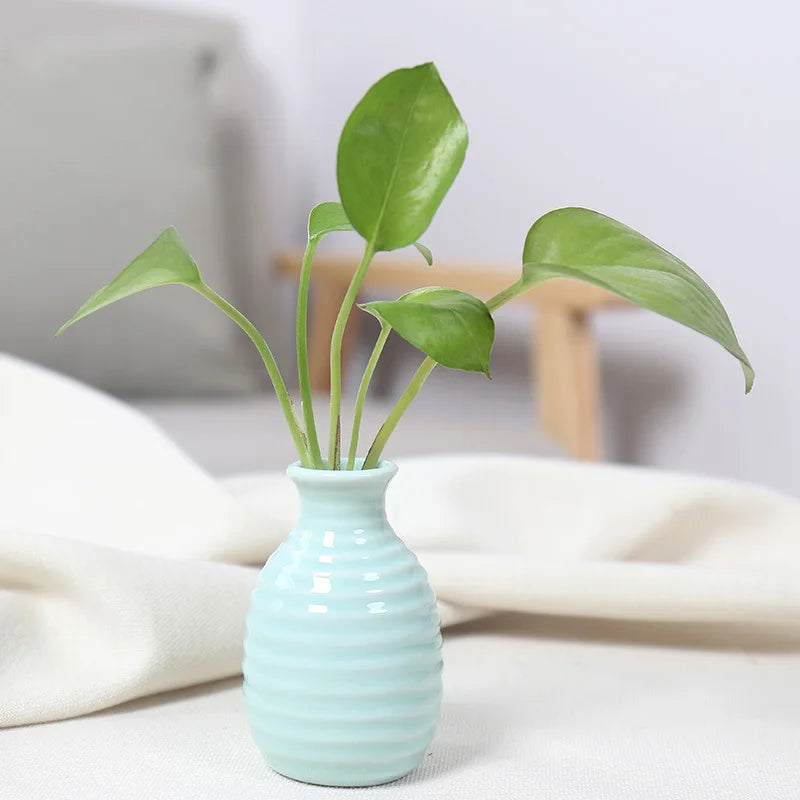 Handcrafted Ceramic Mini Vase for Desk & Tabletop Decor