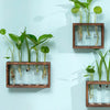 A collection of green plants growing in glass test tube vases housed within wooden planters against a light blue wall.