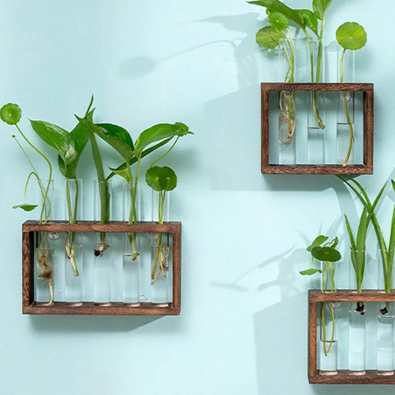 A collection of green plants growing in glass test tube vases housed within wooden planters against a light blue wall.