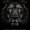 A close-up portrait of a fierce lion with striking blue eyes and dark fur, featuring the word DISCIPLINE below.