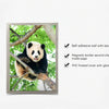 A set of magnetic picture frames with self-adhesive walls, a magnetic border, and a PVC frosted cover.