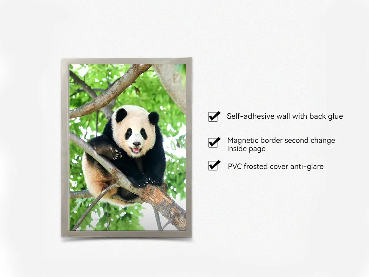 A set of magnetic picture frames with self-adhesive walls, a magnetic border, and a PVC frosted cover.