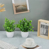 Four small artificial bonsai plants in white pots displayed on a light blue desk.
