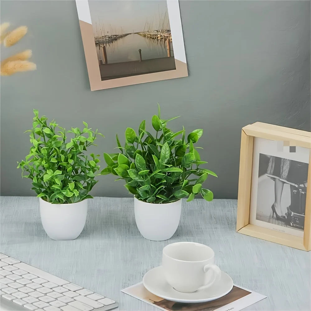 Four small artificial bonsai plants in white pots displayed on a light blue desk.