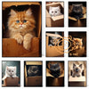 A collection of nine framed images showing various orange and gray Persian kittens in cardboard boxes.