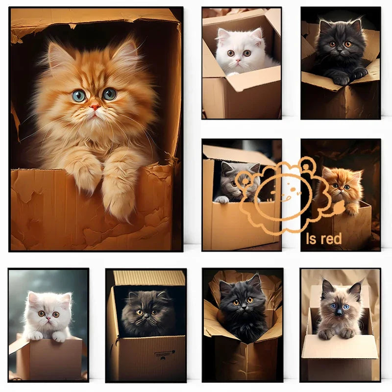 A collection of nine framed images showing various orange and gray Persian kittens in cardboard boxes.