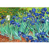 A vibrant oil painting depicting a field of blue and purple iris flowers with green foliage.
