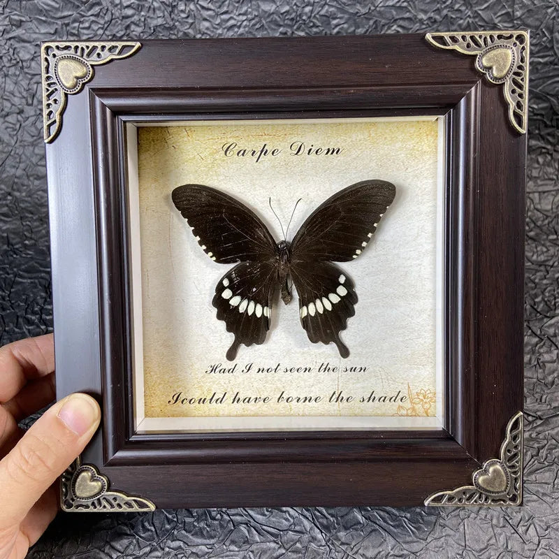 A dark brown framed piece of art featuring a black butterfly silhouette and the text Carpe Diem