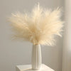 Dried beige pampas grass branches in a white vase used as boho home and wedding decor