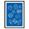 Blutes Leinwandkunst-Druck mit verschiedenen weißen Muscheln und Meereslebewesenformen.