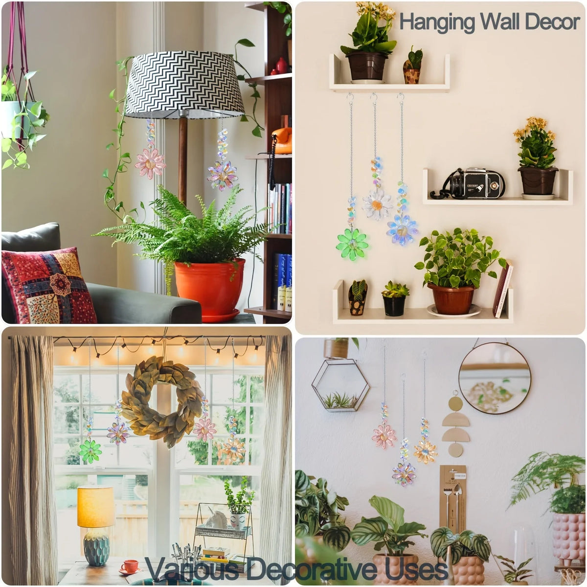 Collection de lanternes de tournesols en cristal suspendues sur un mur blanc avec diverses plantes en pot et décorations.
