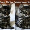 Before and after photo enhancements of a cat, showing improved clarity and detail.