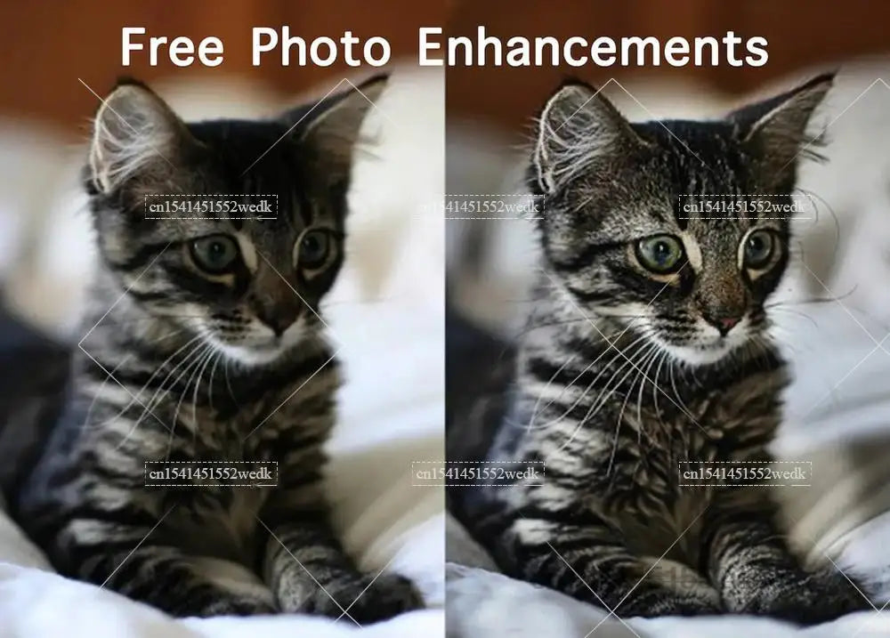 Before and after photo enhancements of a cat, showing improved clarity and detail.