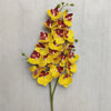 A vertical arrangement of twenty-one lifelike butterfly orchid blooms in yellow and reddish-maroon on a green stem.