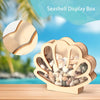 Wooden Seashell Display Box with Acrylic Window