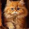 A fluffy orange Persian kitten with large blue eyes is nestled in brown crinkled paper.