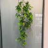 Artificial hanging ivy vine with green leaves displayed against a light background.