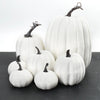 A set of seven white artificial pumpkins with dark stems arranged on a dark surface.