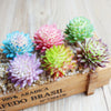 A collection of vibrant artificial succulent bonsai balls in shades of pink, green, and purple displayed in a wooden box.