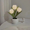 A white LED tulip night light with delicate petals growing in a smooth ceramic pot.