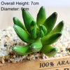 Artificial Succulent Bonsai for Desk & Home Decor