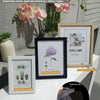 A set of acrylic photo frames with protective film reminders and a transparent film display.