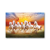 A group of white horses galloping across a field under a dramatic sunset sky.