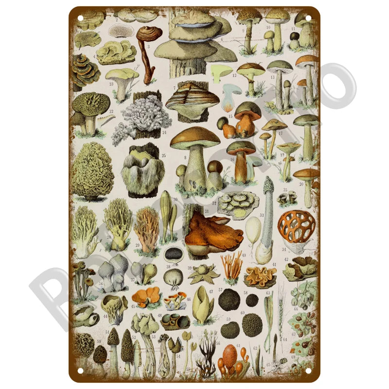 Vintage metal tin sign featuring botanical illustrations of various mushrooms and plants.