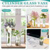 A set of three clear glass cylinder vases with green plants used for home and office decor.