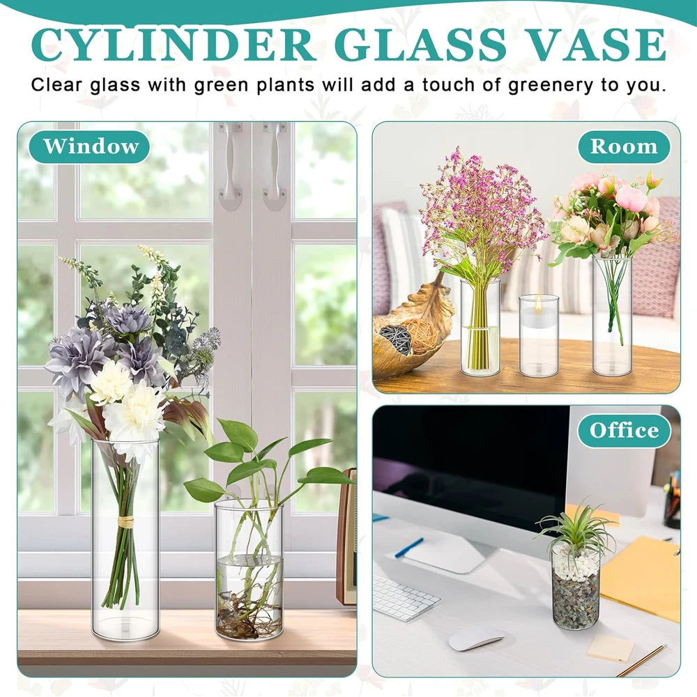 A set of three clear glass cylinder vases with green plants used for home and office decor.